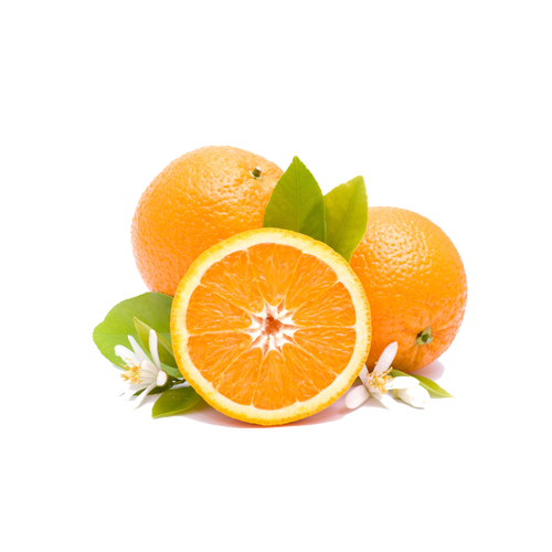 维生素